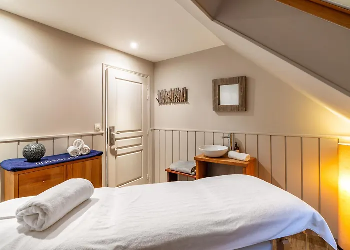 Hôtel Antares&Spa La Rivière-Saint-Sauveur