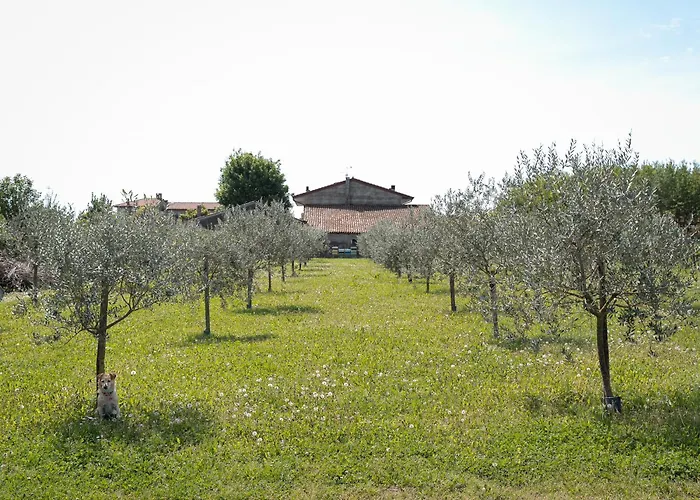 Villa Bongiovanni