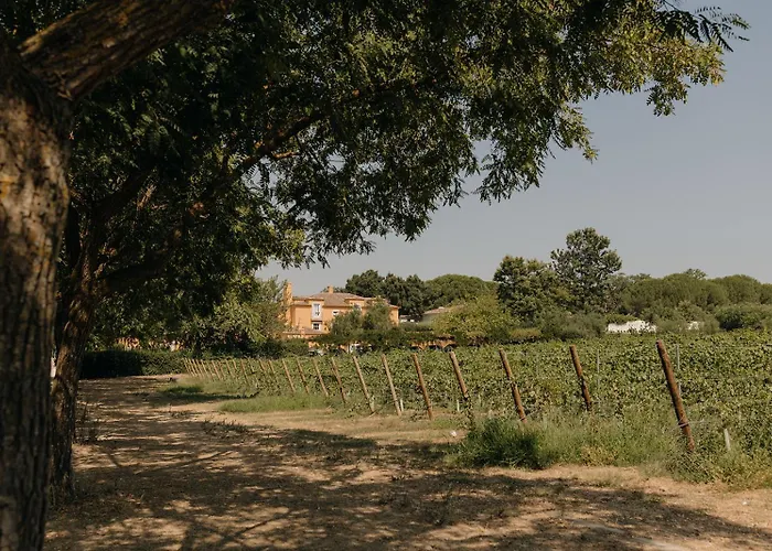 Quinta De Catralvos Hotel Azeitão