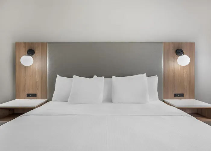 Florence Hotels