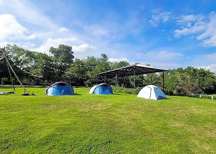 White Knot Khao Yai