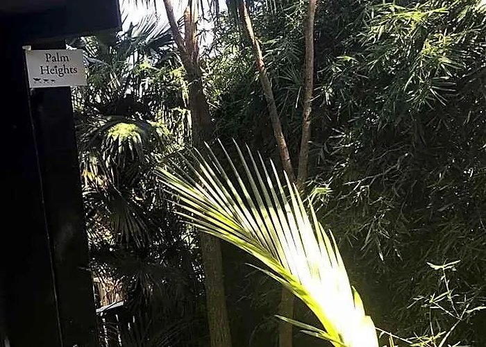 Palm Heights