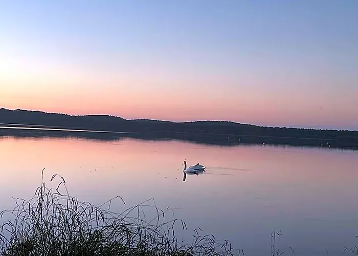 Hôtels à Aureilhan (Landes)