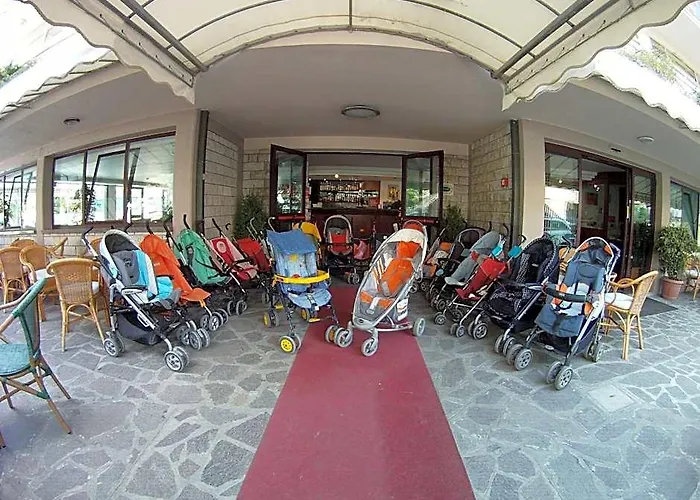 Hotel Lanzoni