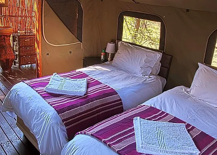 Kruger National Park Hotels