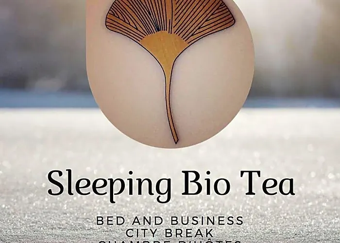 Bed and Breakfast Sleeping Bio Tea à Thionville