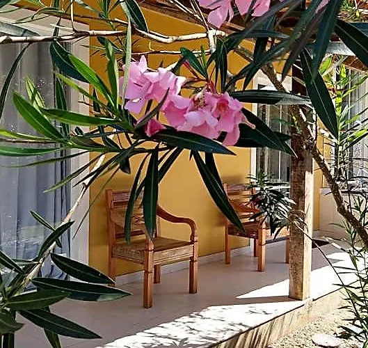 Aloha Itauna Saquarema