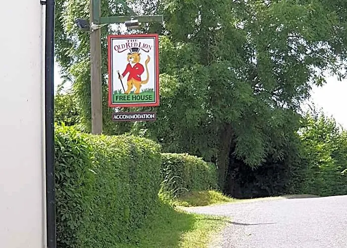 Hotels in Bruton