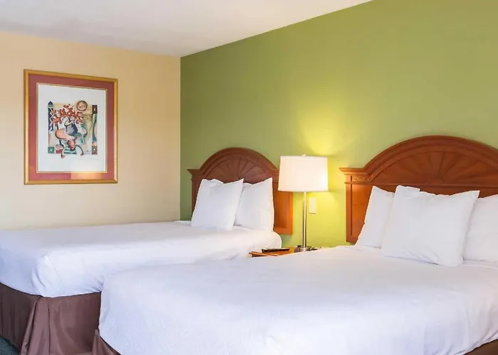 White Pine Hotels