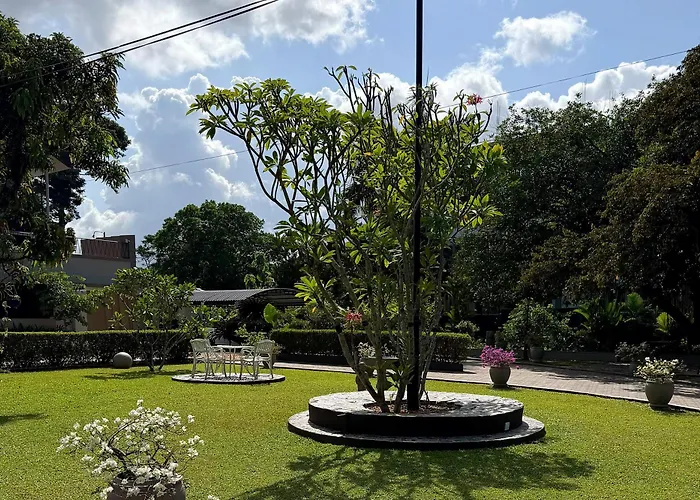 Ruksevena - The Sri Lankan Urban Farmer