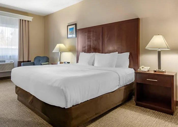 Comfort Inn & Suites Seattle North