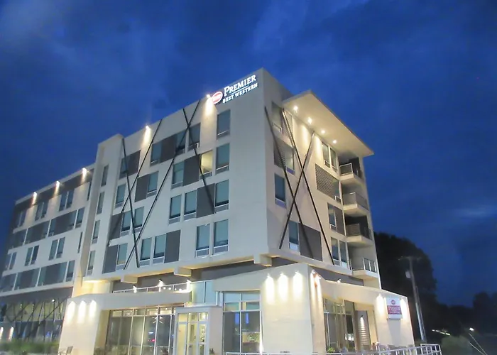 Vib Best Western Springfield