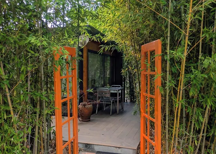 Bamboo Guest House Águeda