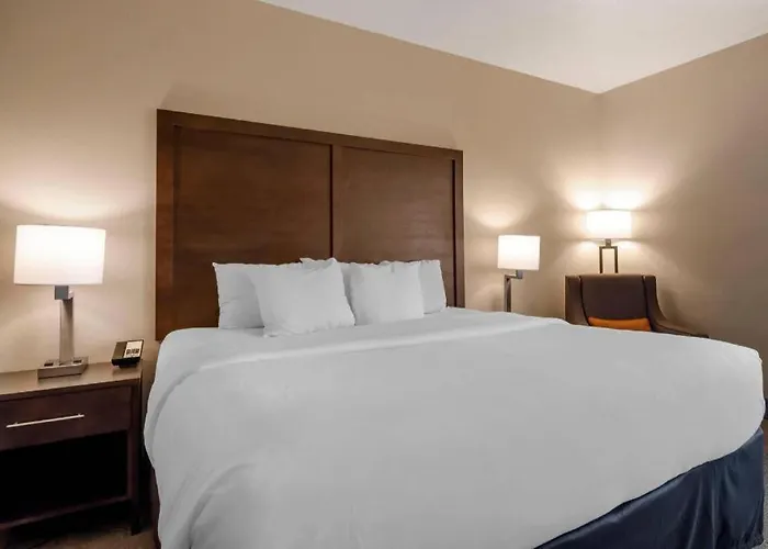 Macon Hotels