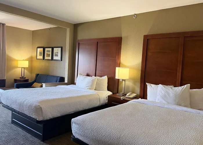 Vista Suites Near Island And Leconte Convention Center
