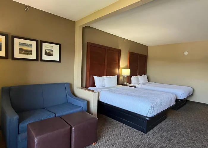 Vista Suites Near Island And Leconte Convention Center