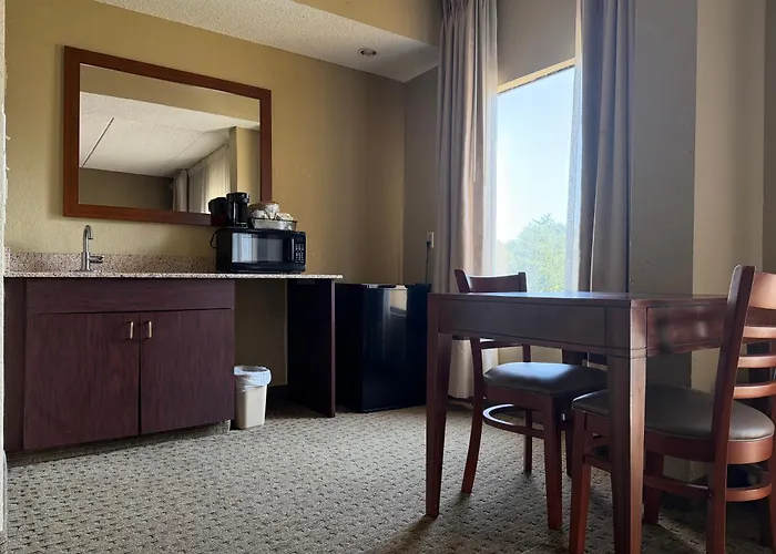 Vista Suites Near Island And Leconte Convention Center