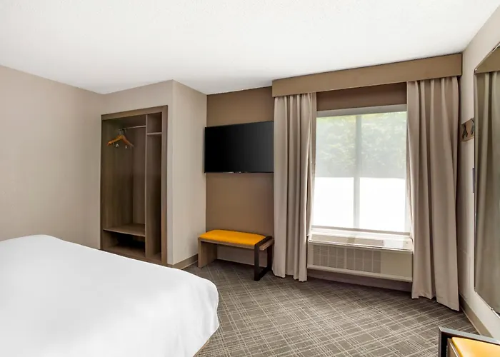 Comfort Suites Nashville Airport - Bna