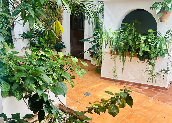 Hotel AIRE Vejer - recién reformado 2026 Vejer de la Frontera