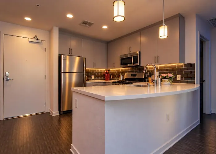 Modern Apartment Rentals