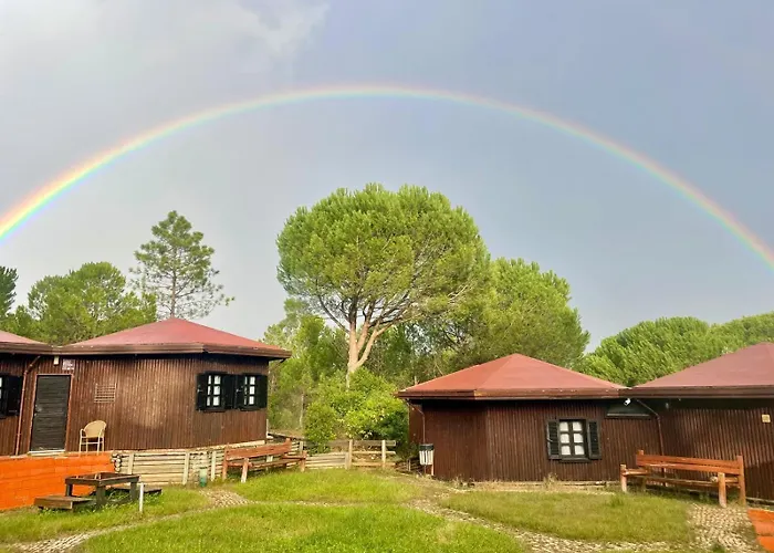 Ymca Camp Alambre