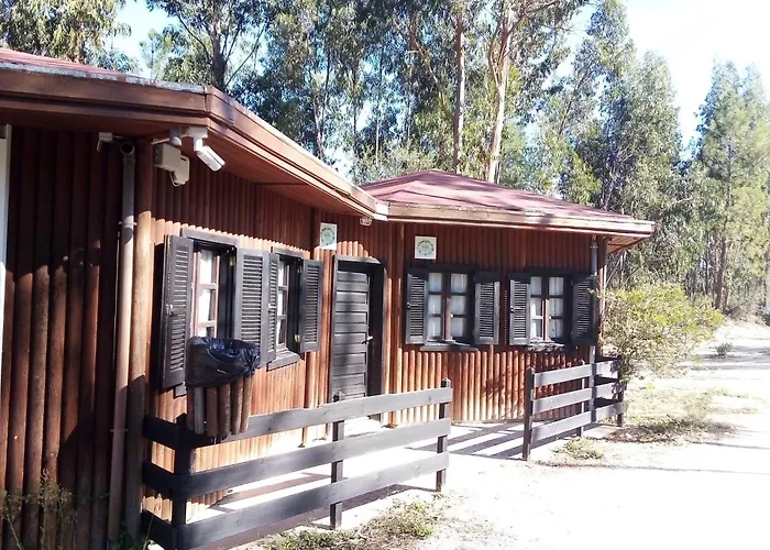 Ymca Camp Alambre
