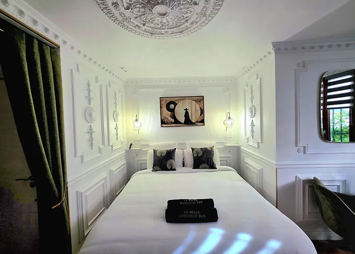 La Belle Endormie&SPA Guest house Bordeaux