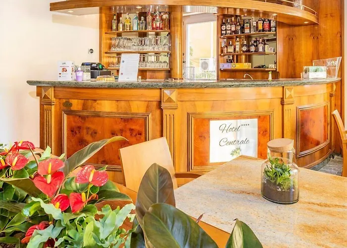 Hotel Centrale Garda 