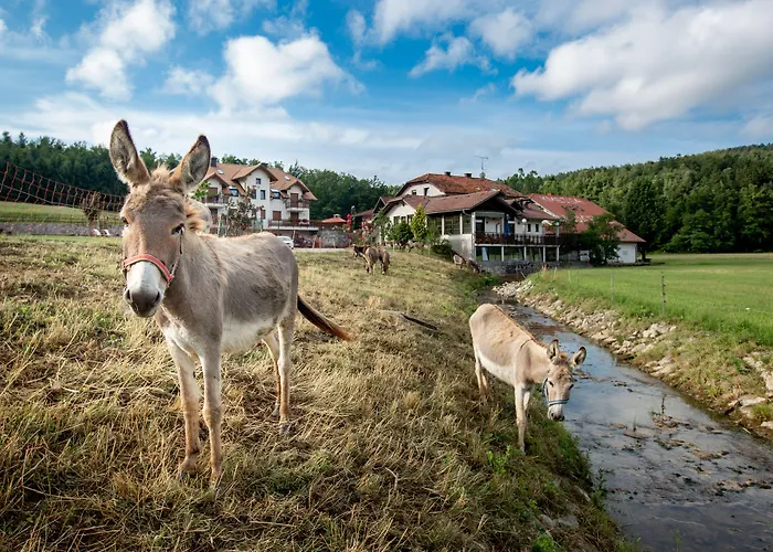 Hotel Ekoturizem Hudicevec Postumia