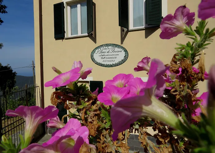 I Lecci Di Soviore Monterosso al Mare