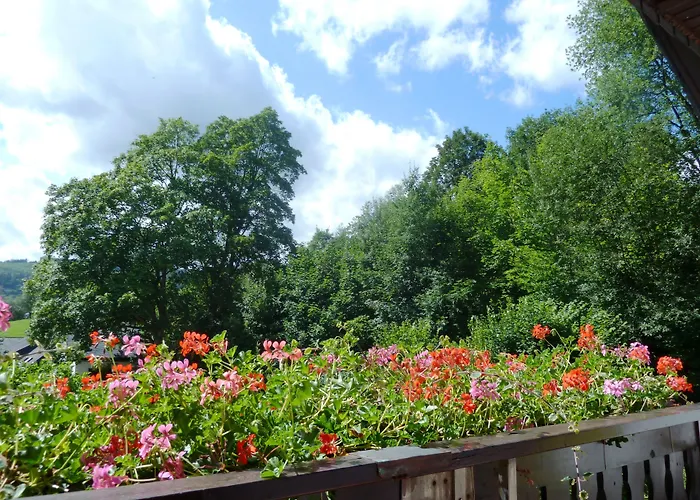 Pension Haus Waldfrieden, Meinecardplus Inklusive Willingen 