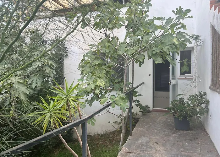 Casa Simba B&B (Adults Only) Estepona