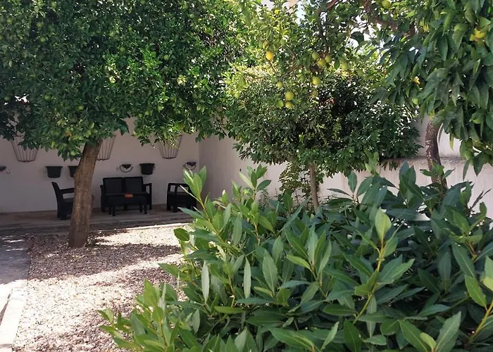 Casa Do Tio Ze Hotel Golegã