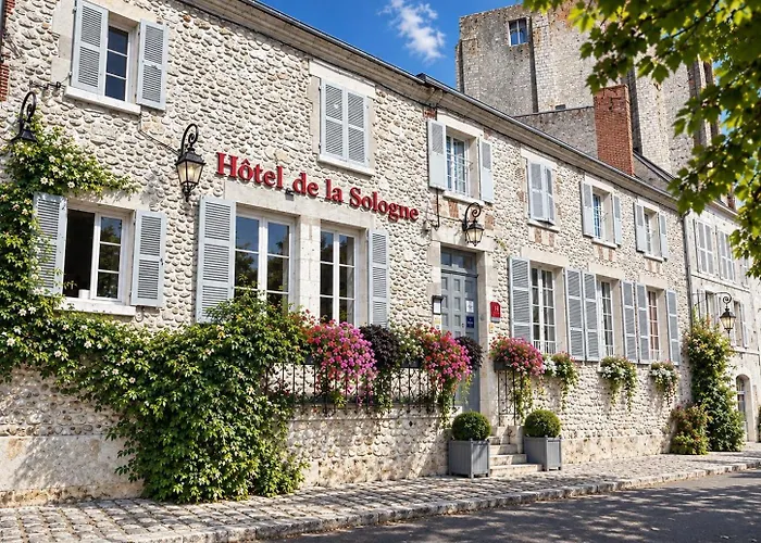 Hotel de la Sologne Beaugency
