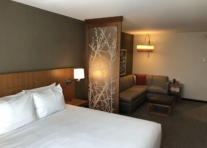 Hyatt Place St George/Convention Center St. George