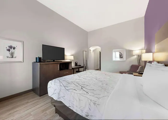 Best Western Plus Buda Austin Inn & Suites