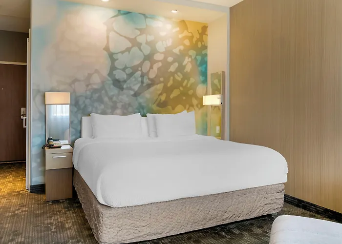 Courtyard By Marriott Toledo North