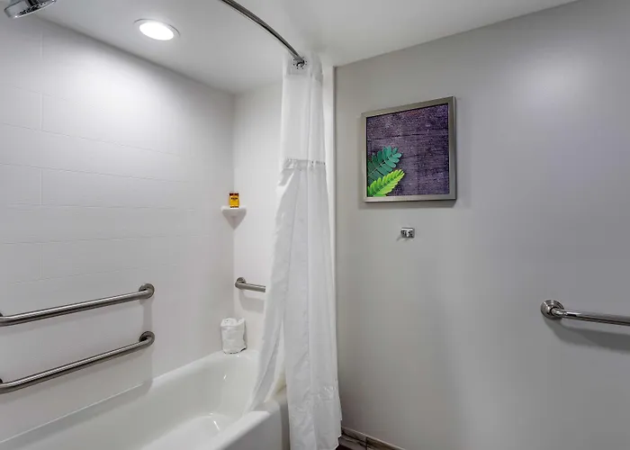 Best Western Plus Apple Valley Lodge Pigeon Forge