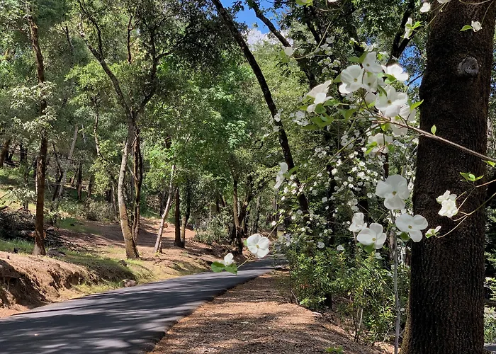 Meadowood Napa Valley