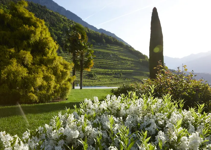 Schloss Plars wine&suites Algund