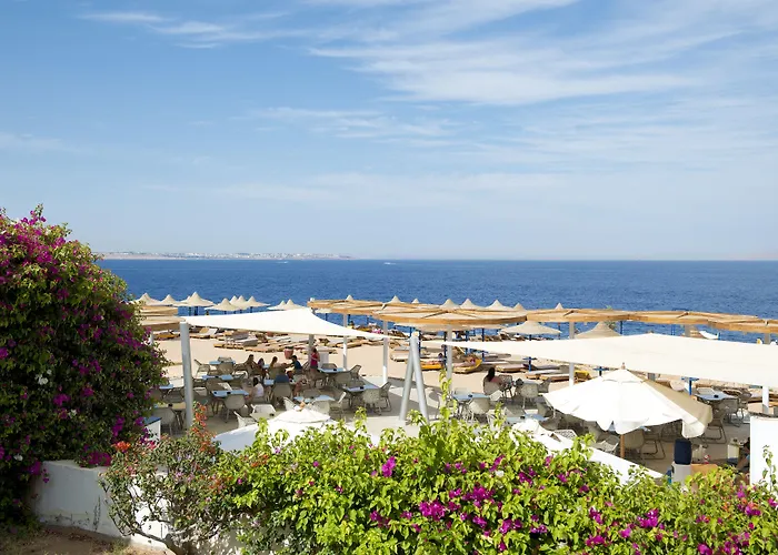 Amphoras Blu Ultra (Adults Only) Sharm-el-Sheikh