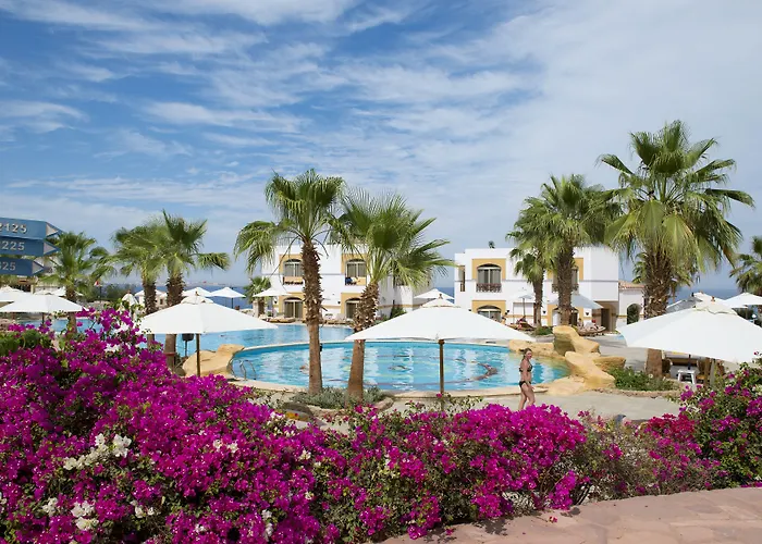 Amphoras Blu Ultra (Adults Only) Sharm-el-Sheikh