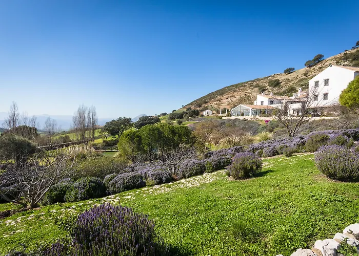 Hôtels à Antequera