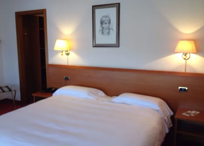 Hotel Palace Rovigo