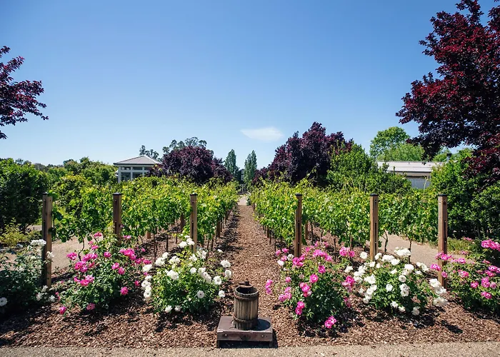 Carneros Resort And Spa Napa