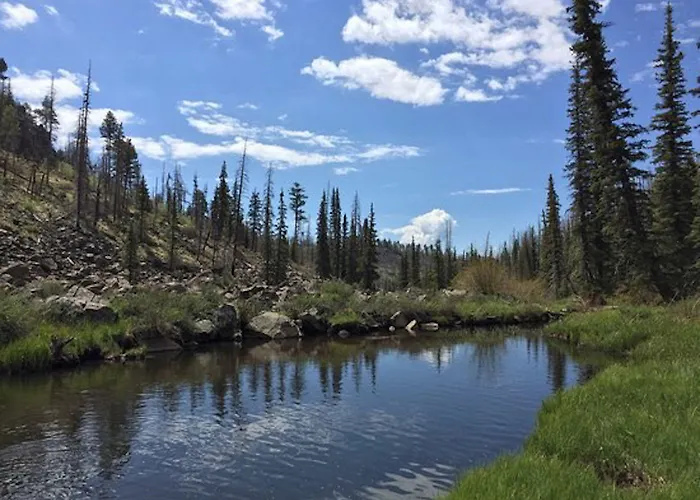 Pinetop Studio Suites