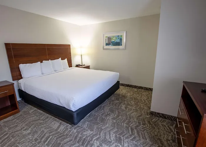 Best Western Plus Lafayette Vermilion River Inn & Suites