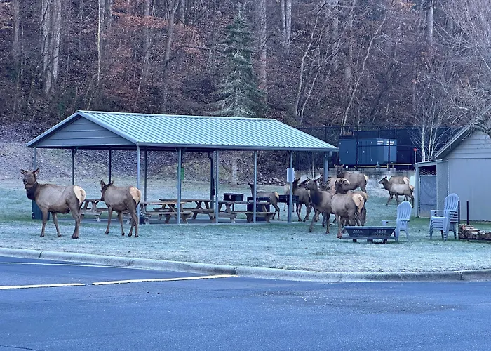 Great Smokies Inn - Cherokee