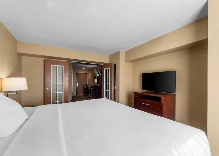 Comfort Suites San Antonio Near Seaworld