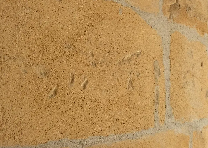 Hoteles en Pollensa